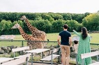 Familie und Giraffee im Aalborg Zoo