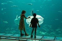 Nordsøen Oceanarium