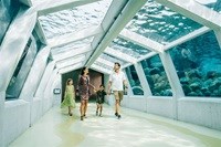 Nordsøen Oceanarium